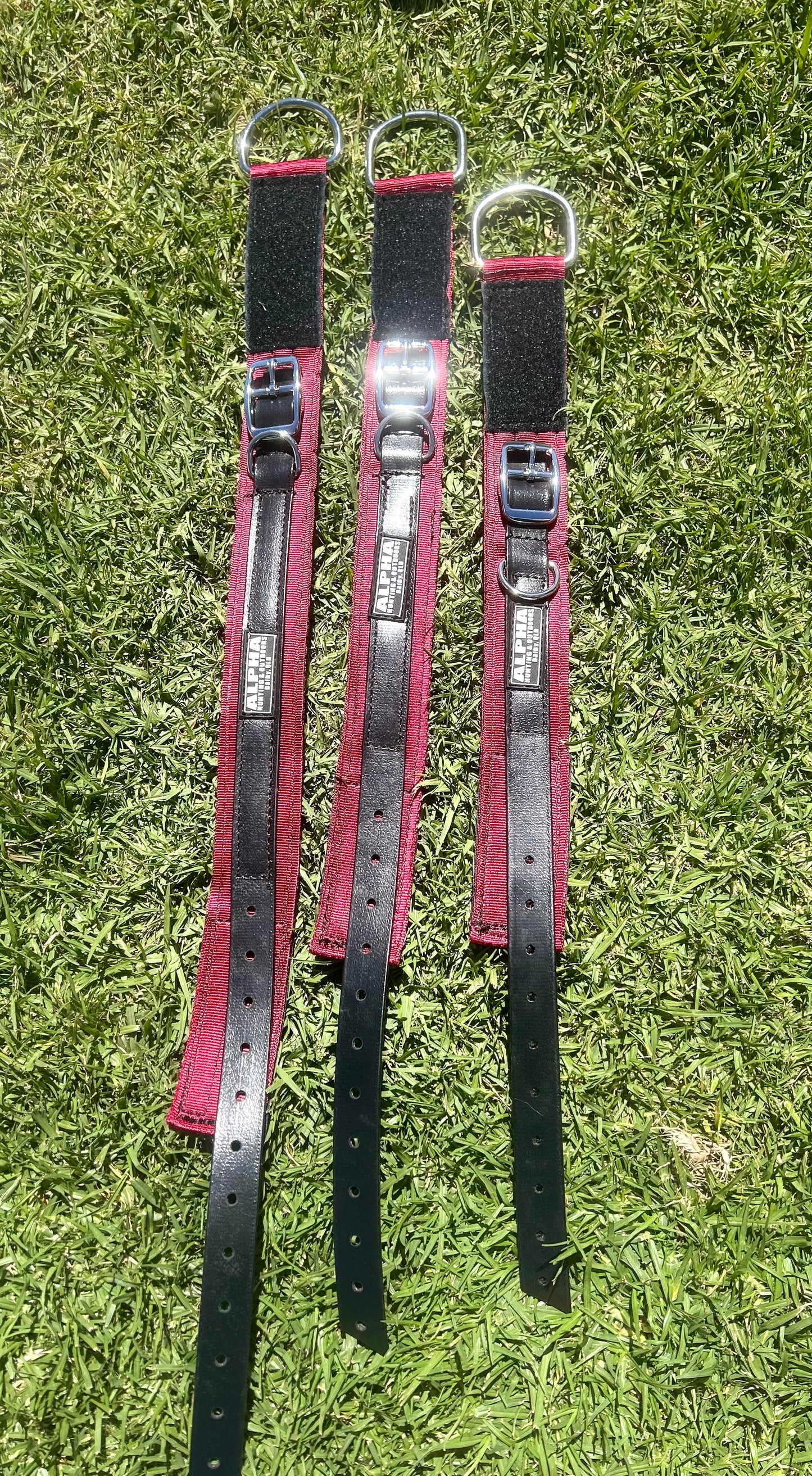 Alpha Yard Collars