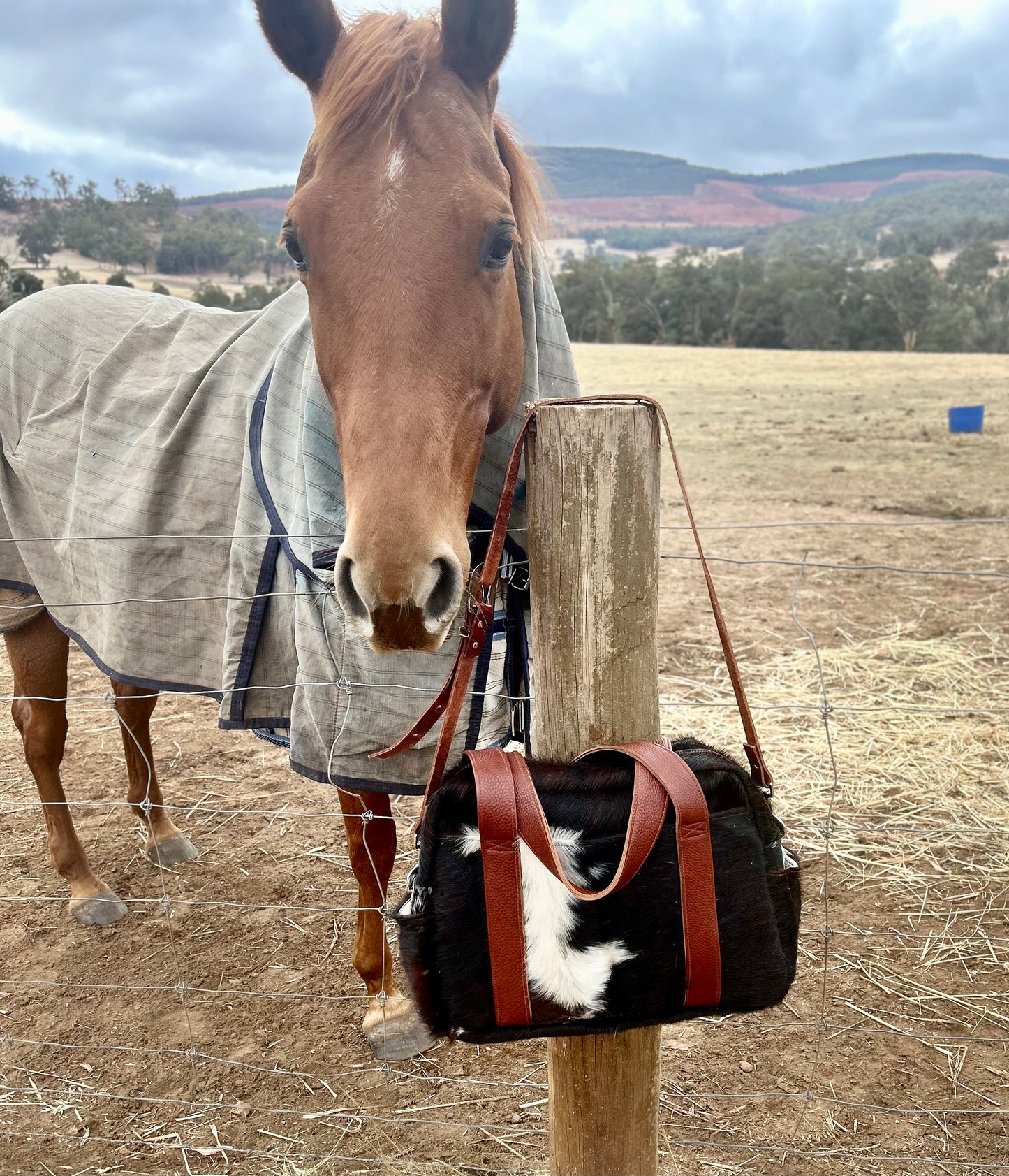 Nappy bag 010