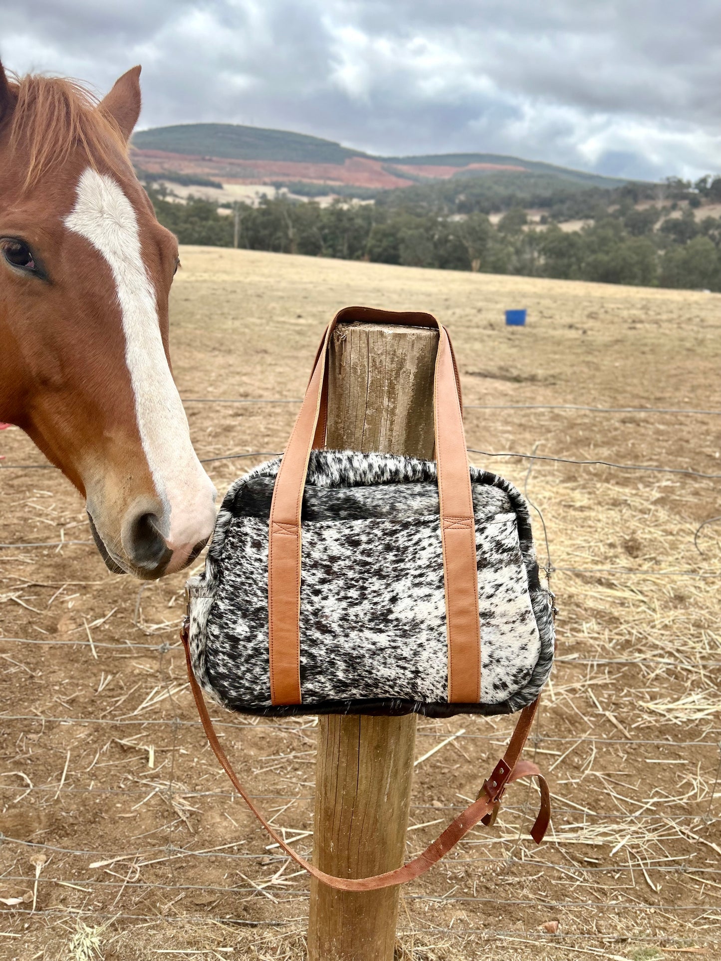 Nappy bag 011
