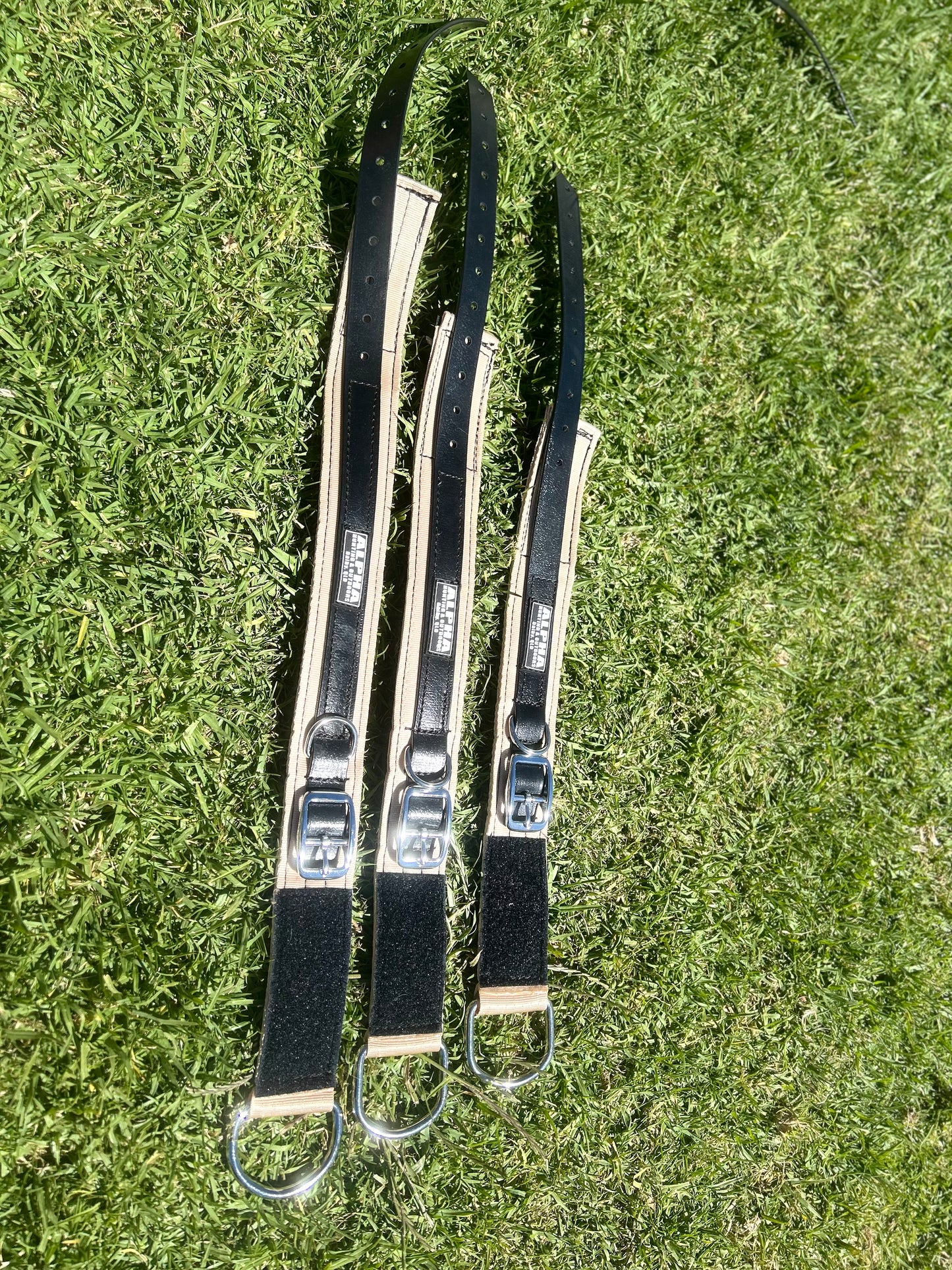 Alpha Yard Collars