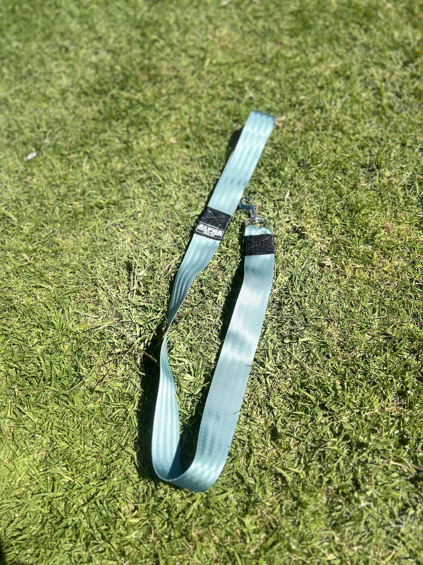 Alpha Long walking Leads