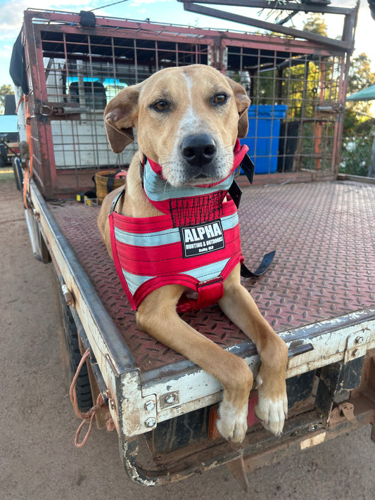 Alpha Ultra-Light Plates