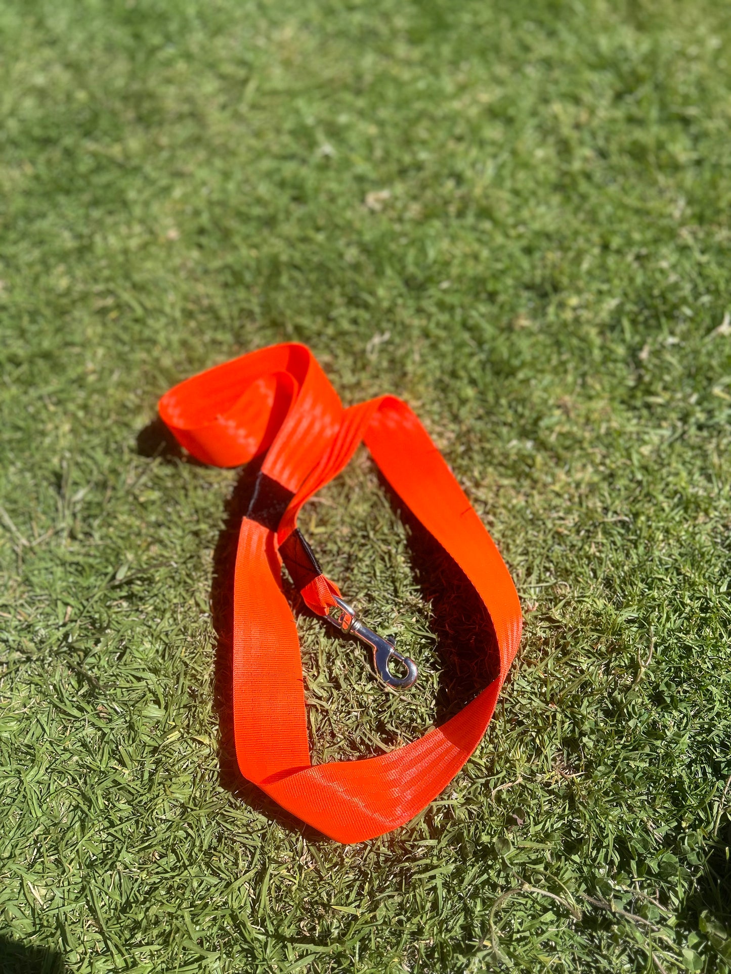 Alpha Long walking Leads